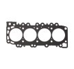 REINZ Kafa contası 0, 98mm — Nissan Cabstar E (2)