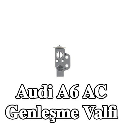 MAHLE AC genleşme valfi — 2016 Audi A6