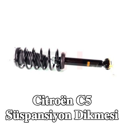 GH Süspansiyon Dikmesi — Citroën C5