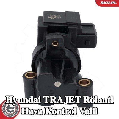 ESEN SKV Rölanti hava kontrol valfi — Hyundai Trajet