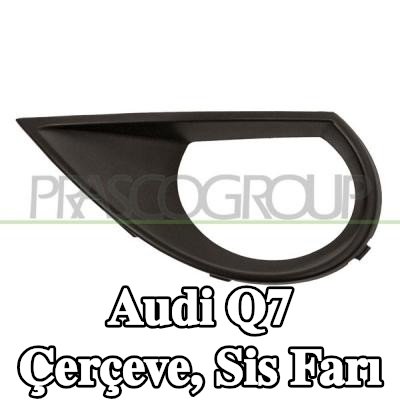 PRASCO Çerçeve, sis farı — Audi Q7