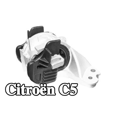 TEDGUM التركيب، دعامة ناقل الحركة اليدوي — Citroën C5