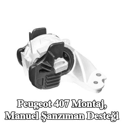 TEDGUM Montaj, manuel şanzıman desteği — Peugeot 407