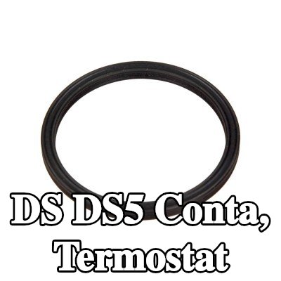 CITROEN/PEUGEOT Conta, termostat Üst — DS Ds5