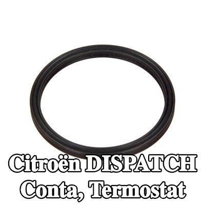 CITROEN/PEUGEOT Conta, termostat Üst — Citroën Dispatch