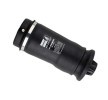 BILSTEIN Hava Yayı, süspansiyon Arka aks, - B3 OE Replacement (Air) — Mercedes-Benz ML-Class (1)