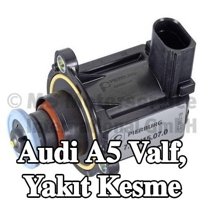 PIERBURG Valf, yakıt kesme — Audi A5
