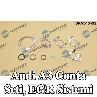 DR.MOTOR AUTOMOTIVE Conta seti, EGR sistemi — Audi A3
