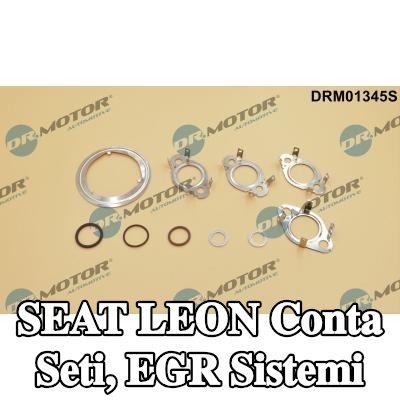 DR.MOTOR AUTOMOTIVE Conta seti, EGR sistemi — SEAT Leon