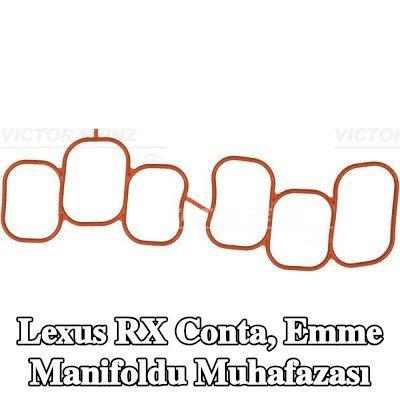 REINZ Conta, emme manifoldu muhafazası — Lexus Rx