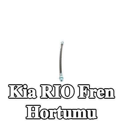 BOSCH Fren hortumu 301mm — 2002 Kia Rio