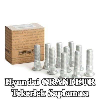 FEBEST Tekerlek Saplaması — 1997 Hyundai Grandeur