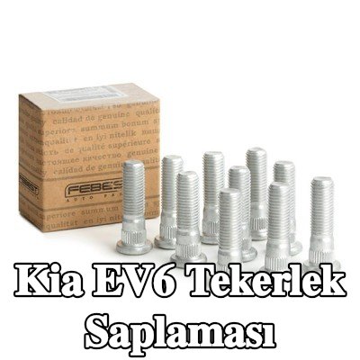 FEBEST Tekerlek Saplaması — Kia Ev6