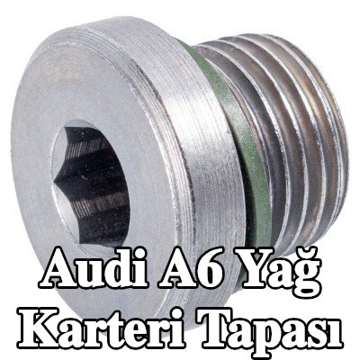 FEBI BILSTEIN Conta halkalı yağ karteri tapası — 2000 Audi A6
