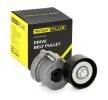 RIDEX PLUS Gergi kasnağı Dış Çap: 65mm — Opel Vectra (1)