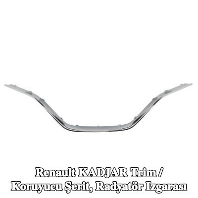 BLIC Trim / koruyucu şerit, radyatör ızgarası Alt — Renault Kadjar