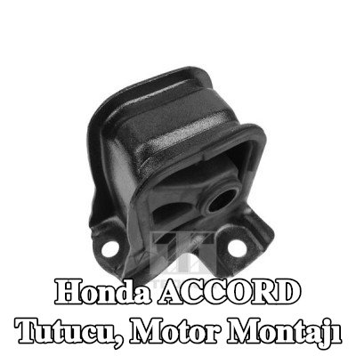 TEDGUM Tutucu, motor montajı Ön — 2002 Honda Accord