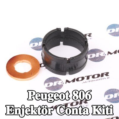 DR.MOTOR AUTOMOTIVE Enjektör conta kiti — 2002 Peugeot 806