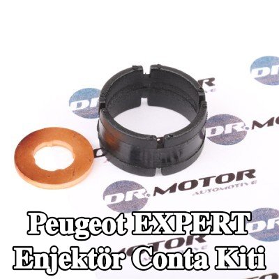 DR.MOTOR AUTOMOTIVE Enjektör conta kiti — 2000 Peugeot Expert