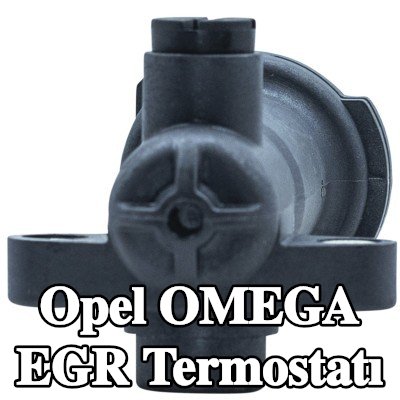 MOTORAD Conta/sızdırmazlık elemanlı EGR termostatı, contasız/sızdırmazlık elemanı olmadan — Opel Omega