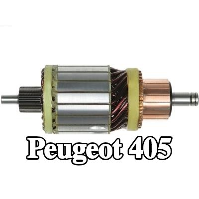 AS-PL المحرك، المُشغّل — Peugeot 405