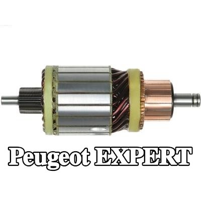 AS-PL المحرك، المُشغّل — Peugeot Expert