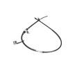 KAVO PARTS El freni kablosu 1535mm — 2000 Mitsubishi Pajero / Shogun Sport (3)