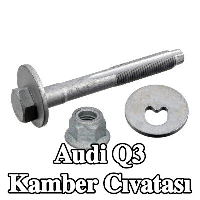 FEBI BILSTEIN Arka aks sol kamber cıvatası, Arka Aks Sağ — Audi Q3