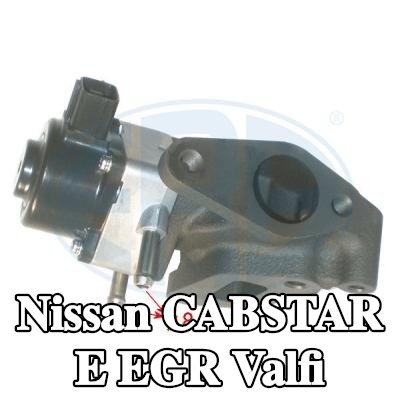 ERA Contalı/sızdırmazlık elemanlı EGR valfi — 2002 Nissan Cabstar E