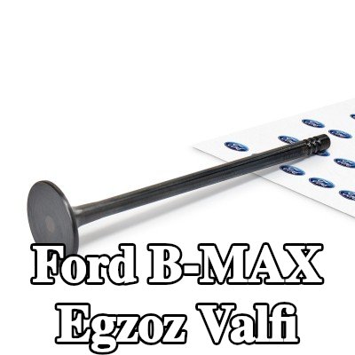 FORD Egzoz valfi Nitrürlenmiş valf gövdesi — Ford B-max