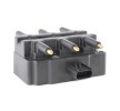 RIDEX Ateşleme bobini 12V — 2008 Volkswagen Routan (2)