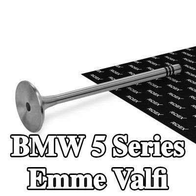 RIDEX Emme valfi Sertleştirilmiş valf sapı ucu — BMW 5 Series