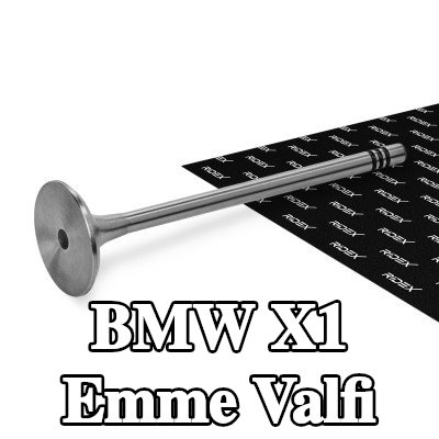 RIDEX Emme valfi Sertleştirilmiş valf sapı ucu — 2012 BMW X1