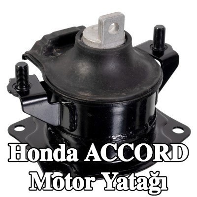 FEBI BILSTEIN Motor yatağı, arka — 2002 Honda Accord