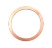 ELRING Karter tapası rondelası Bakır, Inner Diameter: 22mm — Renault Mascott (3)