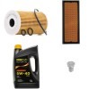 RIDEX PLUS Motor yağı filtre seti — Volkswagen Caddy (1)