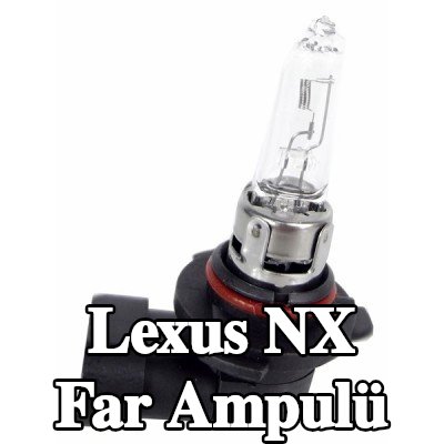 EINPARTS Far ampulü — Lexus Nx