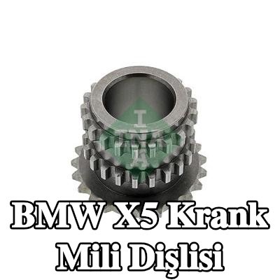 INA Krank mili dişlisi — 2009 BMW X5