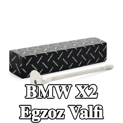 RIDEX Egzoz valfi, çıkış — 2017 BMW X2