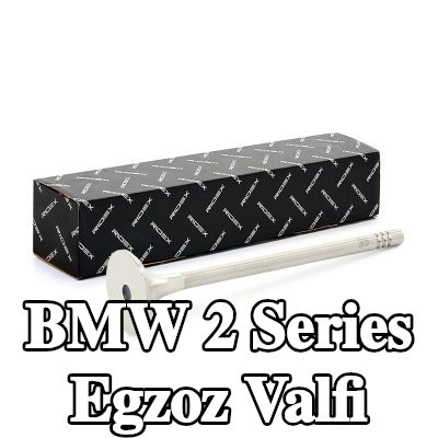RIDEX Egzoz valfi, çıkış — BMW 2 Series