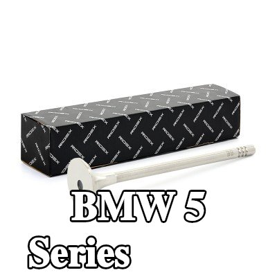 RIDEX صمام العادم المخرج — BMW 5 Series