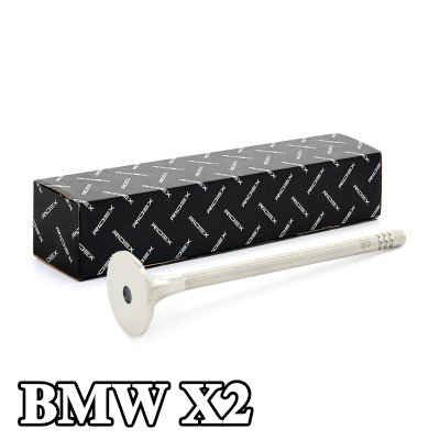 RIDEX صمام العادم المخرج — 2017 BMW X2