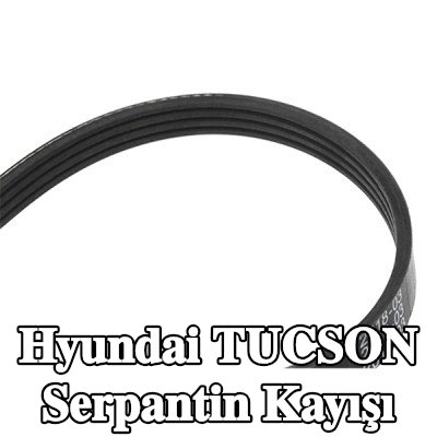 BOSCH Serpantin kayışı 890mm, Number of ribs: 4 — 2012 Hyundai Tucson