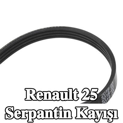 BOSCH Serpantin kayışı 890mm, Number of ribs: 4 — Renault 25
