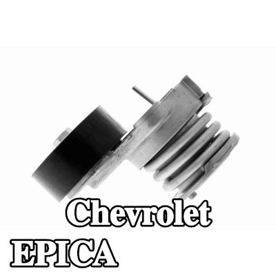 VAICO مشده حزام المحرك — Chevrolet Epica