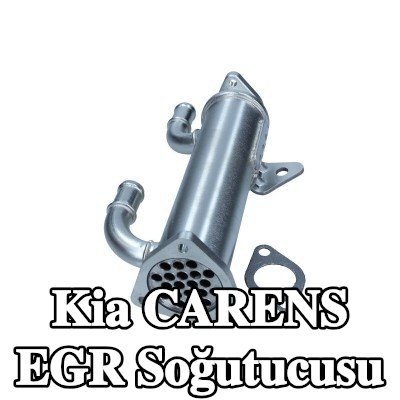 MAXGEAR EGR Soğutucusu — 2002 Kia Carens