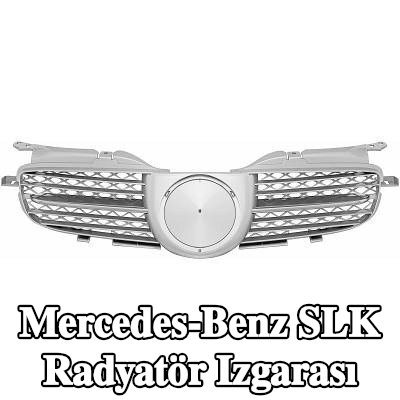 DIEDERICHS Radyatör ızgarası, krom, gümüş — Mercedes-Benz Slk