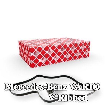 FEBI BILSTEIN مجموعة أحزمة V-Ribbed — Mercedes-Benz Vario