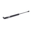 RIDEX Bagaj kapağı desteği 397mm — 2002 Mercedes-Benz S-Class (2)