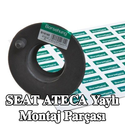 Borsehung Arka Aks Yay Montajı — SEAT Ateca